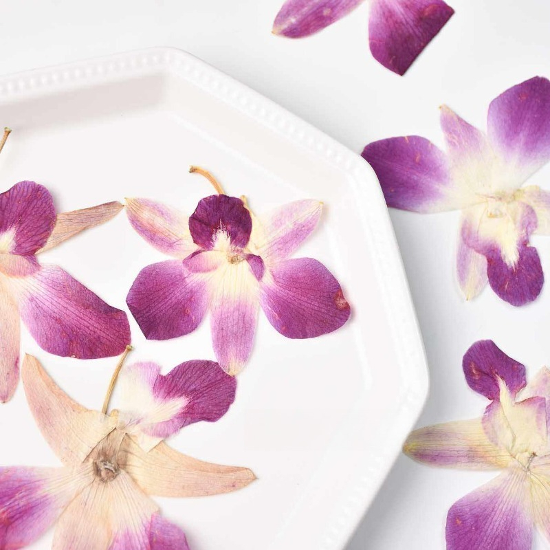 4pcs,Real Pressed Butterfly Or - Resin Craft Ideas recension och pris