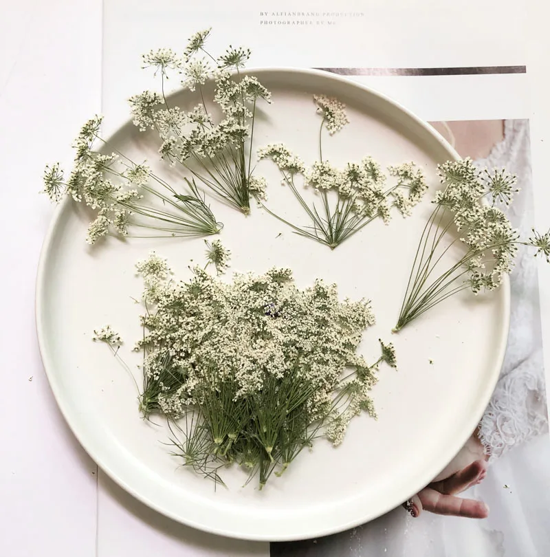 5-7cm/12pcs,Snow Tiny Flowers  - Dried Flower Bulk recension och pris