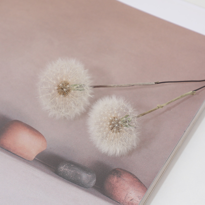 Preserved Dandelion DIY Epoxy  - Crafting Resin recension och pris