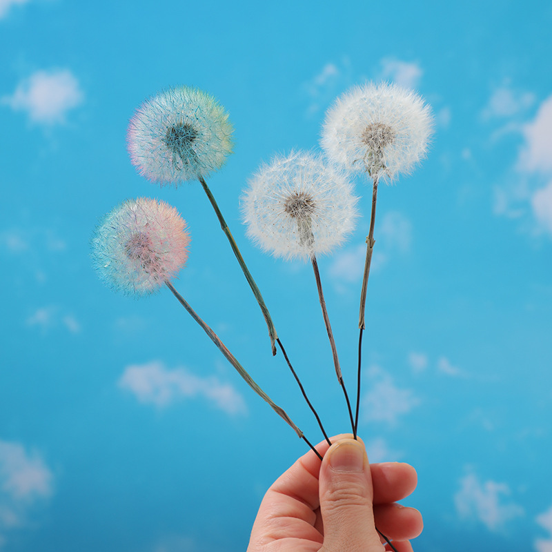 Preserved Dandelion DIY Epoxy  - Crafting Resin recension och pris